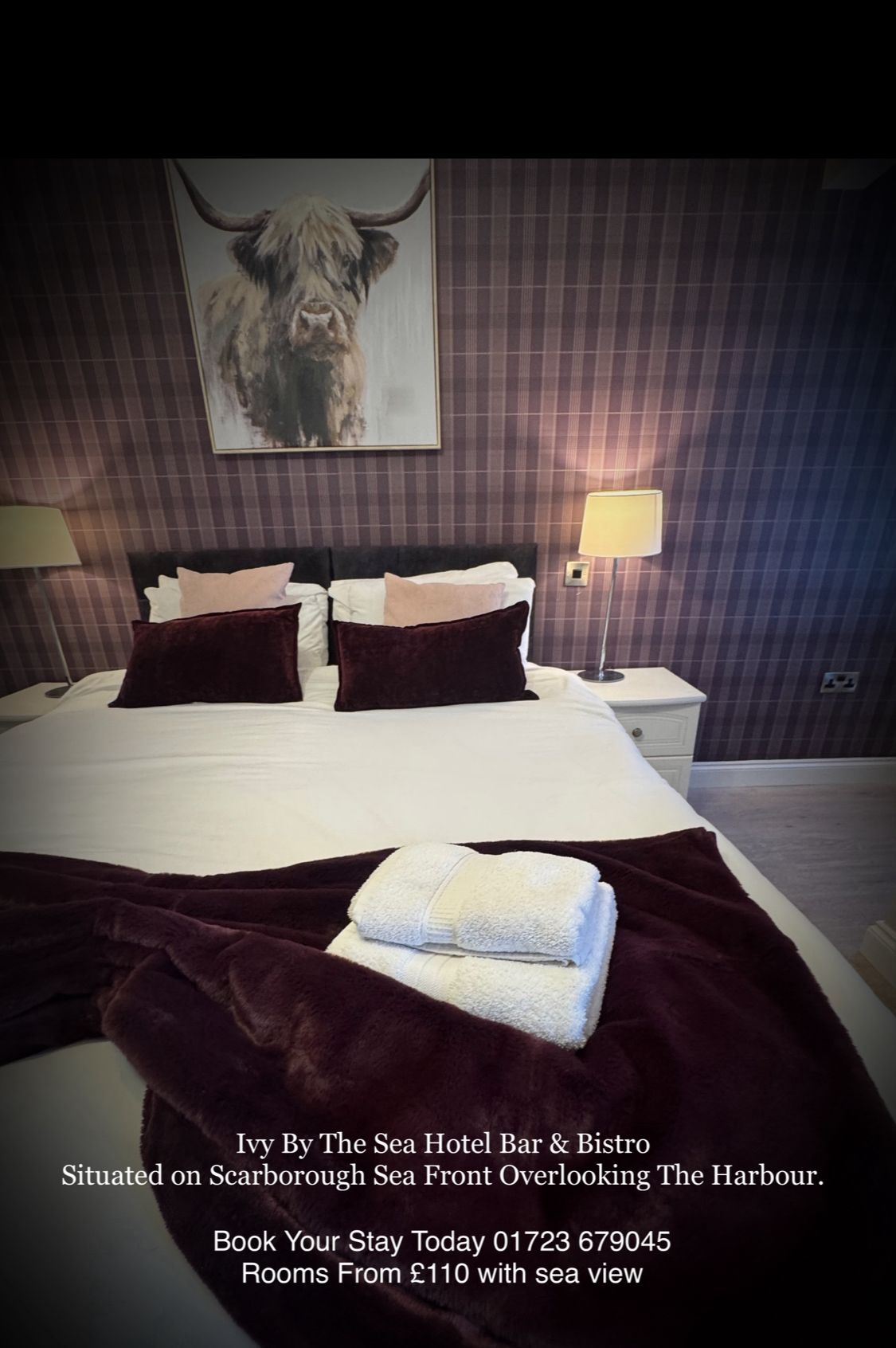 WhatsApp Image 2025-12-05 at 4.38.07 PM (1)